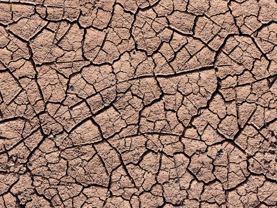 Dry cracked earth, the baked clay ground distilled into mitti attar