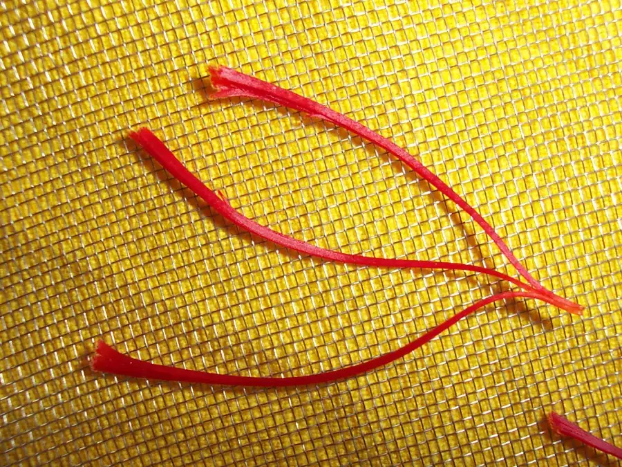 Deep red saffron threads, the spice blended into sanaya attar